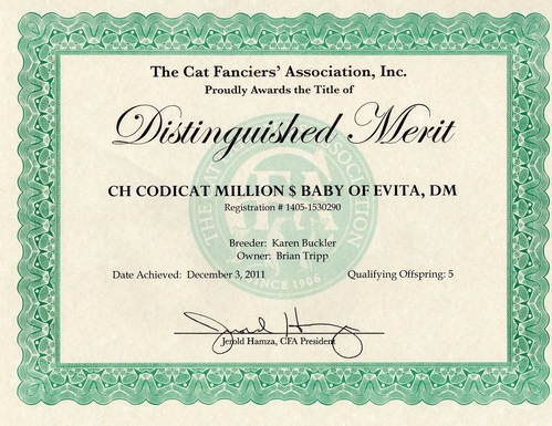 Milli's DM certificate