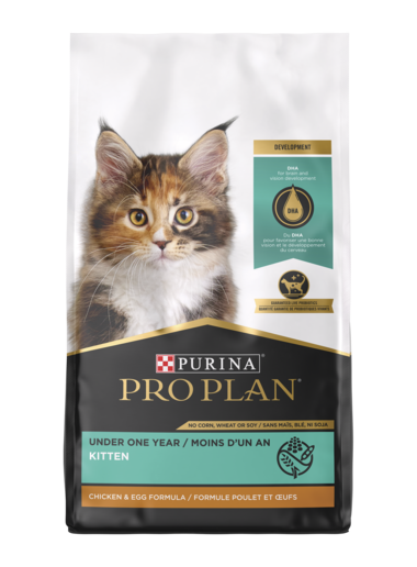 Pro Plan kitten dry